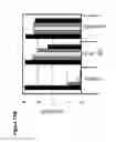 Fig. 95 - RECOMBINANT BACTERIA ENGINEERED TO TREAT DISEASES AND DISORDERS ASSOCIATED WITH AMINO ACID METABOLISM AND METHODS OF USE THEREOF