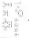 Fig. 02 - Ionizing irradiation sterilization of bacterial minicell-based biopharmaceuticals and methods of use