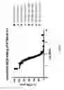 Fig. 06 - Ionizing irradiation sterilization of bacterial minicell-based biopharmaceuticals and methods of use