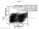 Fig. 09 - Ionizing irradiation sterilization of bacterial minicell-based biopharmaceuticals and methods of use