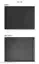 Fig. 12 - Ionizing irradiation sterilization of bacterial minicell-based biopharmaceuticals and methods of use