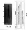 Fig. 16 - Ionizing irradiation sterilization of bacterial minicell-based biopharmaceuticals and methods of use