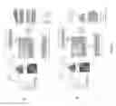 Fig. 35 - METHODS AND PRODUCTS FOR MODULATING MICROBIOTA COMPOSITION FOR IMPROVING THE EFFICACY OF A CANCER TREATMENT WITH AN IMMUNE CHECKPOINT BLOCKER