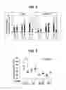Fig. 07 - Composition for inducing proliferation or accumulation of regulatory T cells