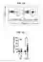 Fig. 08 - Composition for inducing proliferation or accumulation of regulatory T cells