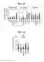 Fig. 11 - Composition for inducing proliferation or accumulation of regulatory T cells