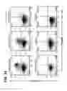 Fig. 20 - Composition for inducing proliferation or accumulation of regulatory T cells
