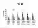 Fig. 23 - Composition for inducing proliferation or accumulation of regulatory T cells