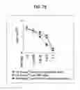 Fig. 25 - Composition for inducing proliferation or accumulation of regulatory T cells