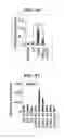 Fig. 30 - Composition for inducing proliferation or accumulation of regulatory T cells