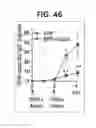 Fig. 35 - Composition for inducing proliferation or accumulation of regulatory T cells