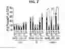 Fig. 06 - Composition for inducing proliferation or accumulation of regulatory T cells
