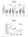Fig. 07 - Composition for inducing proliferation or accumulation of regulatory T cells
