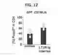Fig. 09 - Composition for inducing proliferation or accumulation of regulatory T cells