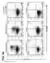 Fig. 20 - Composition for inducing proliferation or accumulation of regulatory T cells