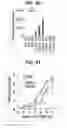 Fig. 32 - Composition for inducing proliferation or accumulation of regulatory T cells