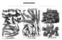 Fig. 01 - Uses and development of neurodefend for treating neurodegenerative diseases