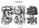 Fig. 02 - Uses and development of neurodefend for treating neurodegenerative diseases