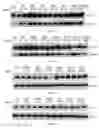 Fig. 14 - Uses and development of neurodefend for treating neurodegenerative diseases