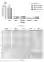Fig. 18 - Uses and development of neurodefend for treating neurodegenerative diseases
