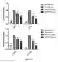 Fig. 31 - Uses and development of neurodefend for treating neurodegenerative diseases