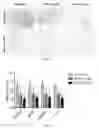 Fig. 32 - Uses and development of neurodefend for treating neurodegenerative diseases