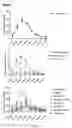 Fig. 41 - Uses and development of neurodefend for treating neurodegenerative diseases