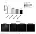 Fig. 70 - Uses and development of neurodefend for treating neurodegenerative diseases
