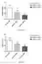 Fig. 74 - Uses and development of neurodefend for treating neurodegenerative diseases