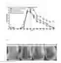 Fig. 05 - PHARMACEUTICAL COMPOSITION COMPRISING PURPLE CORN EXTRACT FOR PREVENTION OR TREATMENT OF SKIN DISEASE