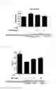 Fig. 08 - PHARMACEUTICAL COMPOSITION COMPRISING PURPLE CORN EXTRACT FOR PREVENTION OR TREATMENT OF SKIN DISEASE