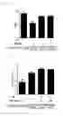 Fig. 09 - PHARMACEUTICAL COMPOSITION COMPRISING PURPLE CORN EXTRACT FOR PREVENTION OR TREATMENT OF SKIN DISEASE