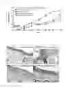 Fig. 13 - PHARMACEUTICAL COMPOSITION COMPRISING PURPLE CORN EXTRACT FOR PREVENTION OR TREATMENT OF SKIN DISEASE