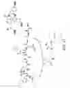 Fig. 18 - Di-sulfide containing cell penetrating peptides and methods of making and using thereof