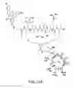 Fig. 19 - Di-sulfide containing cell penetrating peptides and methods of making and using thereof