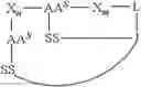 Fig. 46 - Di-sulfide containing cell penetrating peptides and methods of making and using thereof