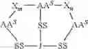 Fig. 48 - Di-sulfide containing cell penetrating peptides and methods of making and using thereof