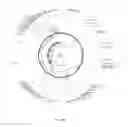 Fig. 26 - Multimeric elastin-like polypeptides