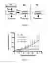 Fig. 32 - Multimeric elastin-like polypeptides