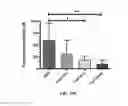Fig. 33 - Multimeric elastin-like polypeptides