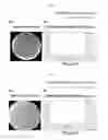 Fig. 04 - Antibacterial composition and a method of treating staphylococcal infections with the antibacterial composition