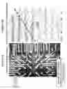 Fig. 05 - TREATMENT OF EYE DISEASE