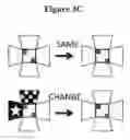 Fig. 11 - TREATMENT OF EYE DISEASE