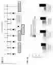Fig. 02 - Methods of using ZSCAN4 for rejuvenating human cells