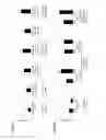 Fig. 03 - METHODS OF USING ZSCAN4 FOR REJUVENATING HUMAN CELLS