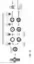 Fig. 19 - METHODS OF USING ZSCAN4 FOR REJUVENATING HUMAN CELLS