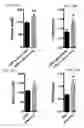 Fig. 12 - METHODS FOR STIMULATION OF APPETITE AND INCREASE IN WEIGHT BY ADMINISTRATION OF ASPROSIN