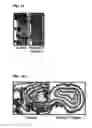 Fig. 03 - Prophylactic and nutraceutical therapy