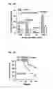 Fig. 04 - Prophylactic and nutraceutical therapy