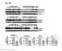 Fig. 06 - Prophylactic and nutraceutical therapy
